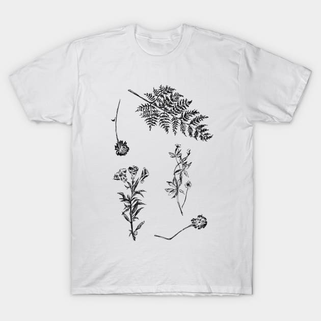 Herbarium T-Shirt by rachelsfinelines